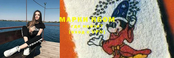 сатива Волгодонск