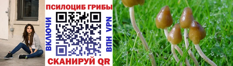 Псилоцибиновые грибы Psilocybine cubensis  Мирный 