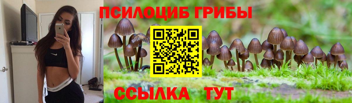 Псилоцибиновые грибы GOLDEN TEACHER  Вход с VPN  Мирный 